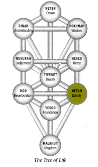 Netzach