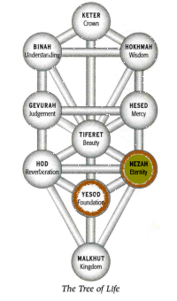 Yesod in Netzach