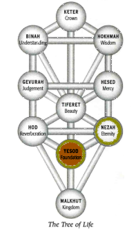Netzach in Yesod
