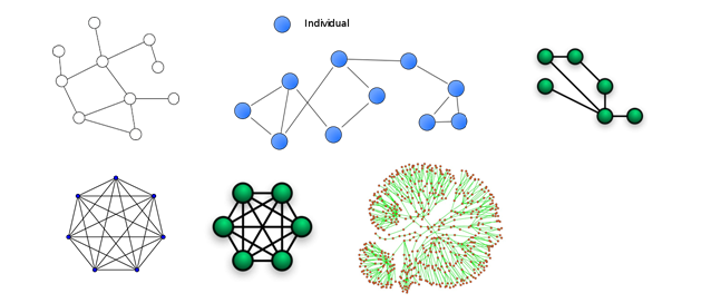 Various types of network