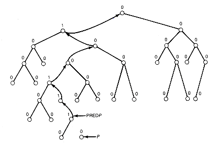 Extensive Tree Structure