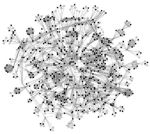 Clustering in two-mode network